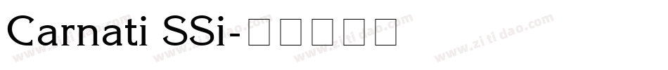 Carnati SSi字体转换